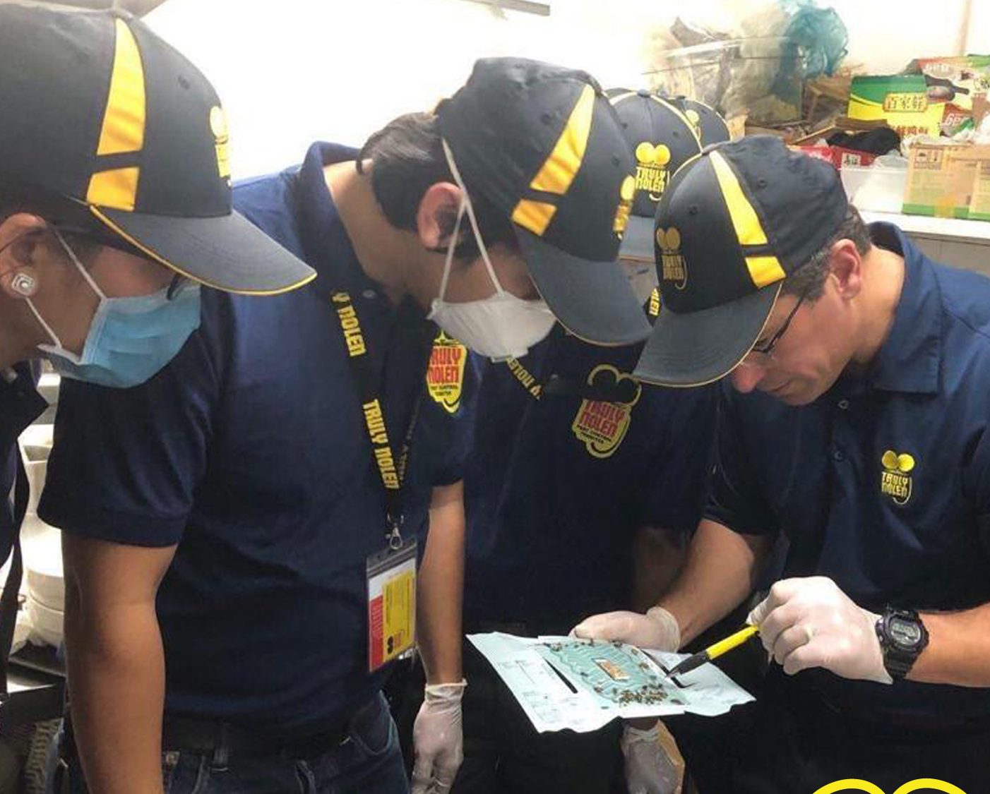 Truly Nolen professionals examine a trap together during a practical session