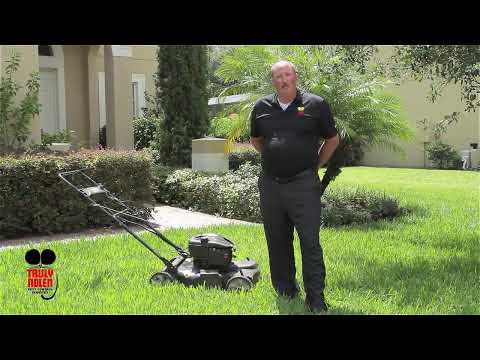 There are two key things that can be done to maintain a healthy lawn.