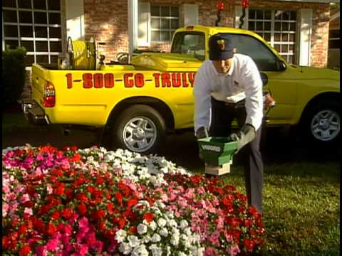 5 critical questions. T.N.I answers 5 critically important questions about its pest control service.