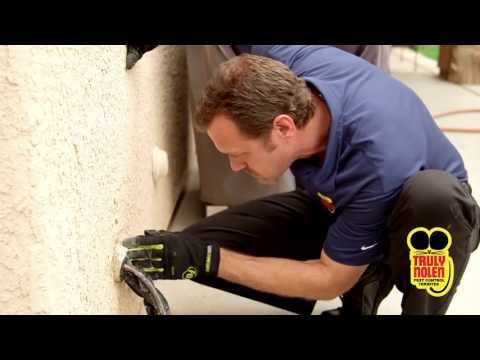Dave from Truly Nolen International gives his advice on preventing rodents from entering your home.