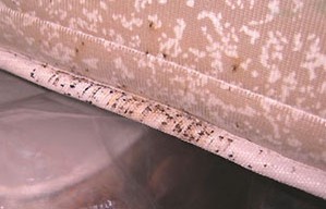 Dark spotting along the edge of a mattress