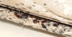 Bed bugs and dark spotting along a narrow crevice
