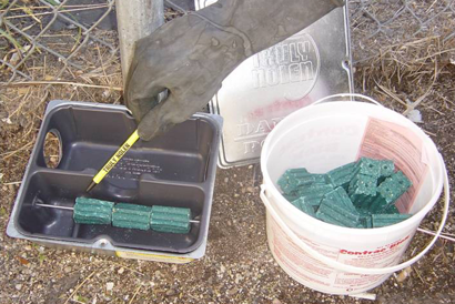 Bait and rodent bait station