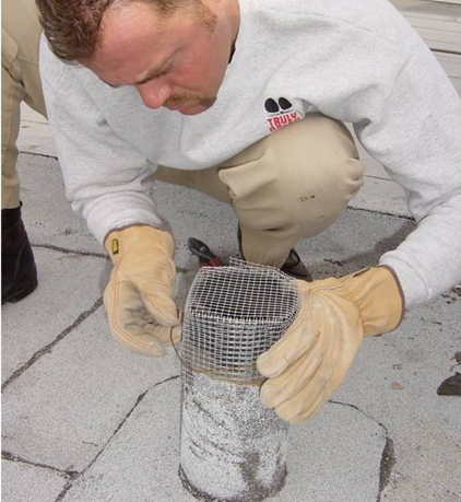 A Truly Nolen technician preparing a wire-mesh barrier to close a rodent entry point