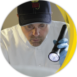 Inspection with a flashlight.