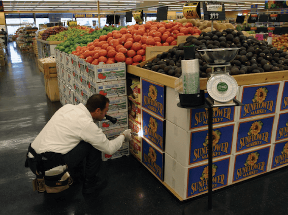 Pest inspection in food retail.